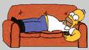 Homer3