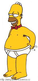 HOMER12.jpg