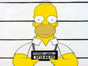 Homer2
