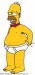 HOMER12.jpg