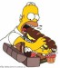 homer201.jpg